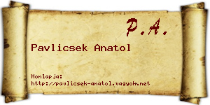 Pavlicsek Anatol névjegykártya